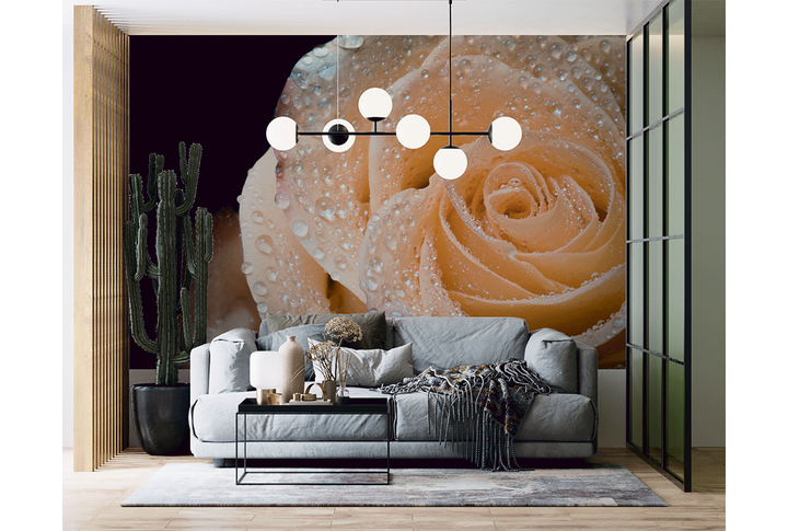 Фотообои «Нежная персиковая роза в росе» в интерьере