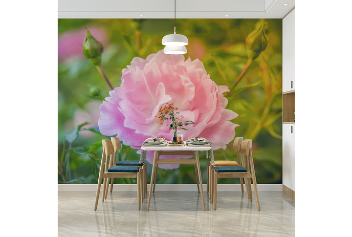 Фотообои «Крупный цветок розы в зеленом саду» в интерьере