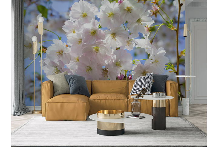 Фотообои «Сакура на фоне голубого неба» в интерьере