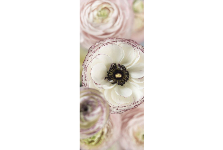 Фотообои «Day Dream» (Мечта)