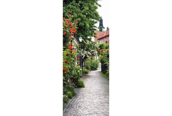 Фотообои «Розы на улице старого городка»