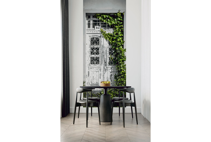 Фотообои «Дверь увитая плющом» в интерьере