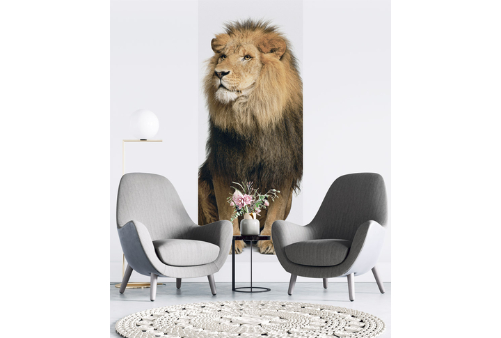 Фотообои «Сидящий лев» в интерьере
