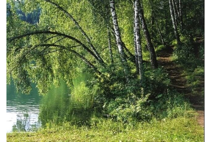 Фотообои «Бережок»