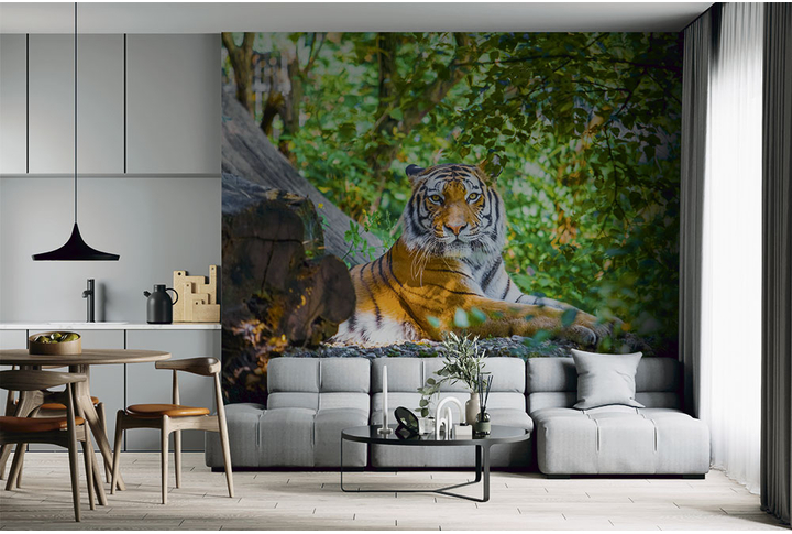 Фотообои «Тигр в тени деревьев» в интерьере