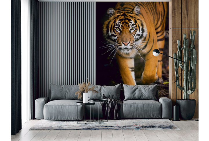 Фотообои «Суматранский тигр» в интерьере