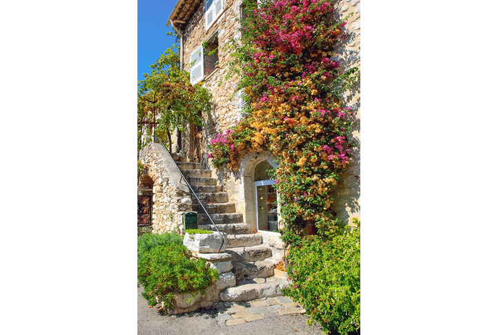 Фотообои «Цветущий двор старого города»