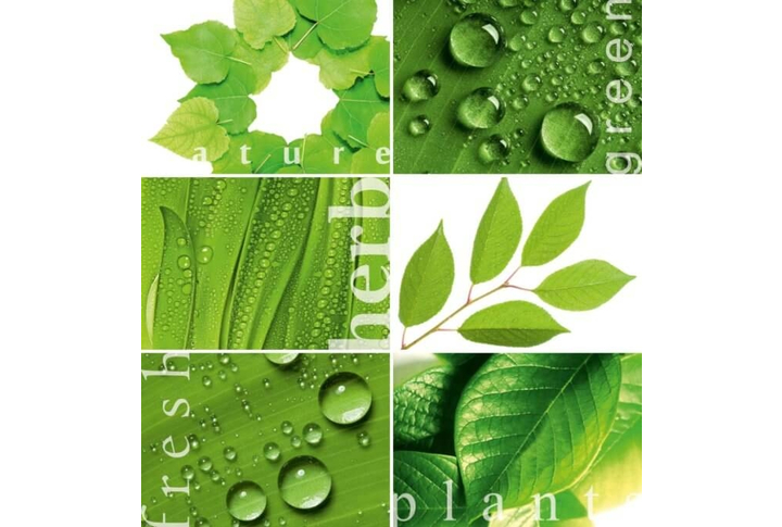 Фотообои «Зеленая Мозаика»