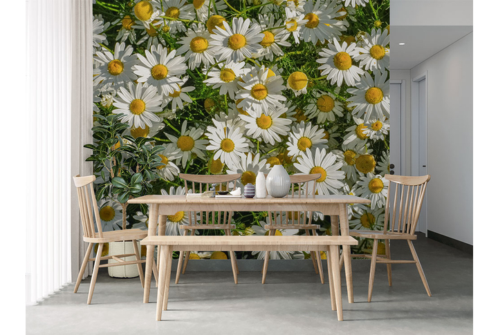 Фотообои «Ромашки среди травы» в интерьере