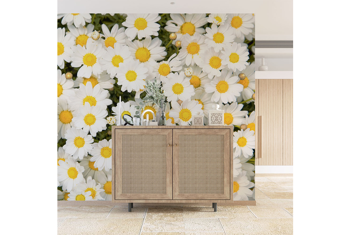 Фотообои «Ромашковое поле» в интерьере