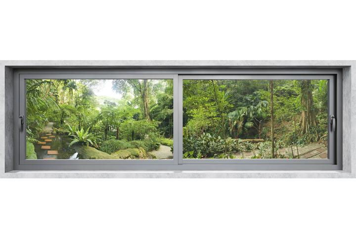 Фотообои «Панорамное окно в тропический сад»