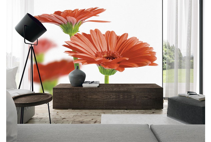 Фотообои «Яркие красные герберы на белом фоне» в интерьере