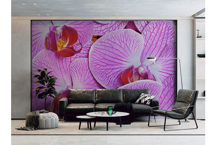 Фотообои «Орхидеи розового цвета» в интерьере