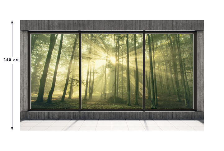 Фотообои «Окно с видом на солнечный лес»