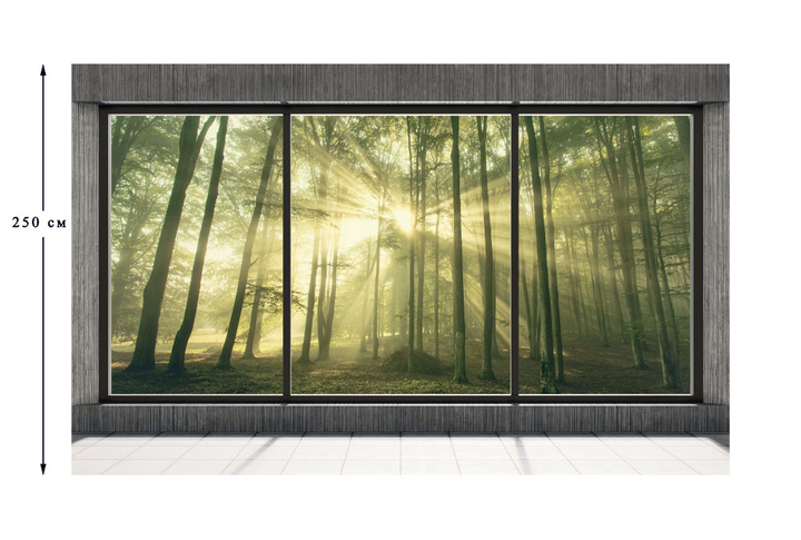 Фотообои «Окно с видом на солнечный лес» в интерьере