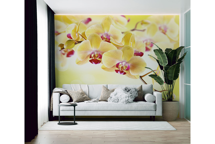 Фотообои «Ветки орхидеи в желтых оттенках» в интерьере