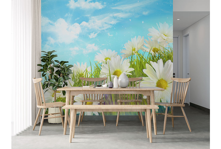 Фотообои «Полевые ромашки на лугу среди травы» в интерьере
