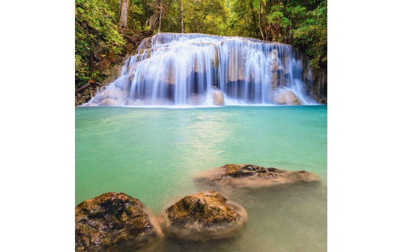 Фотообои «Тропический водопад в лесной чаще»