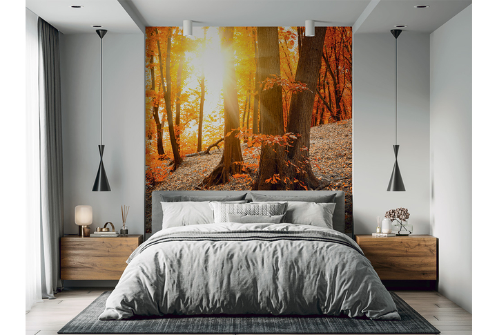 Фотообои «Осенний лес в солнечном свете» в интерьере