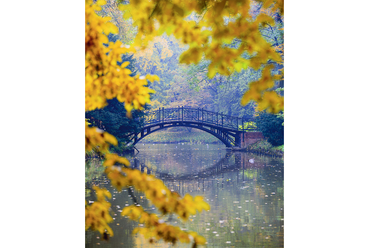 Фотообои «Мостик через озеро в осеннем парке»