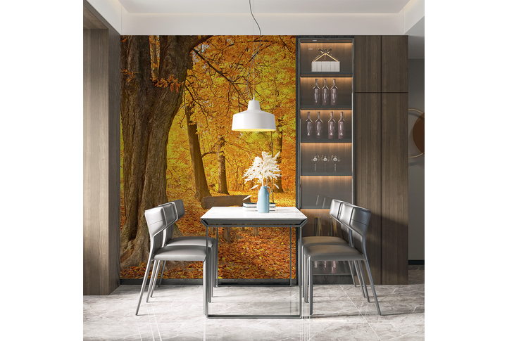 Фотообои «Парк в осеннем лесу» в интерьере