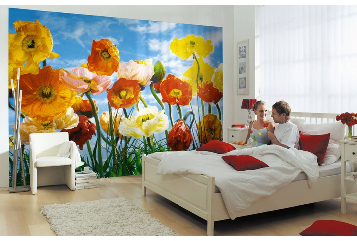 Фотообои «Poppy» (Разноцветные Маки) в интерьере