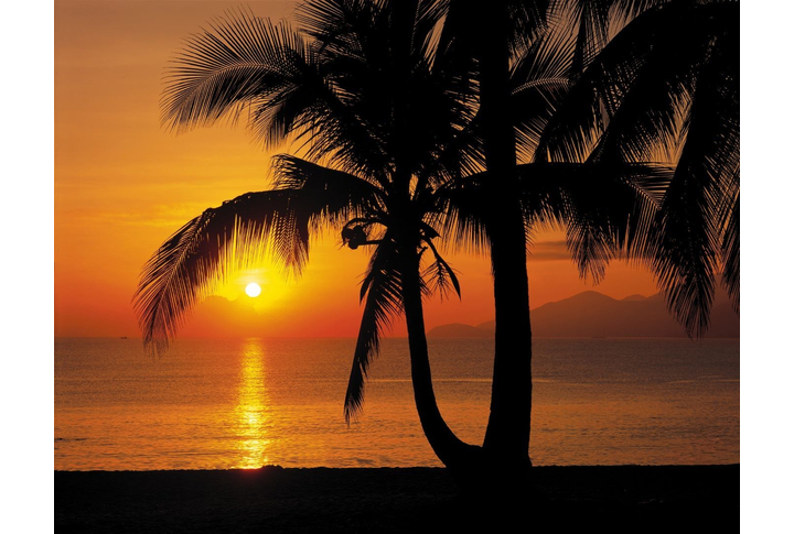 Фотообои «Palmy Beach Sunrise» (Восход солнца на пляже)