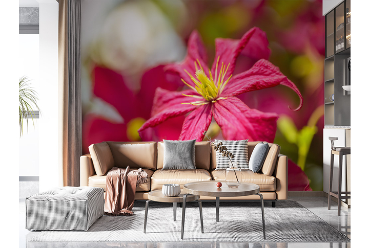 Фотообои «Крупный цветок клематиса в саду» в интерьере