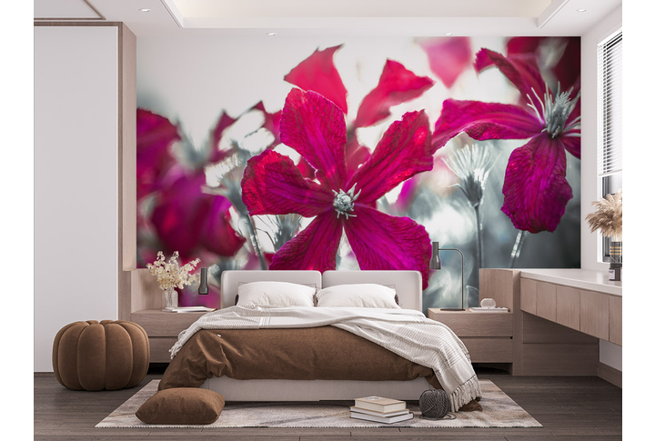 Фотообои «Цветы клематиса в черно-белых тонах» в интерьере