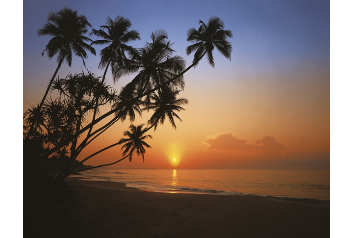 Фотообои «Tropical Sunset» (Закат в Тропиках)