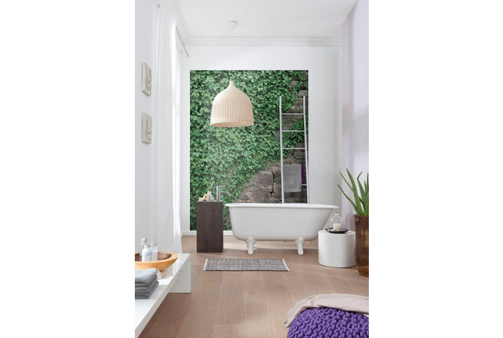 Фотообои «Ivy» (Плющ) в интерьере