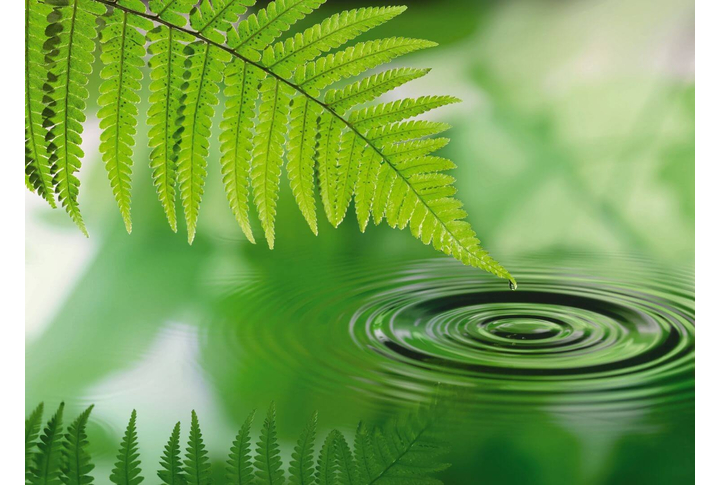 Фотообои «Silence» (Тишина)