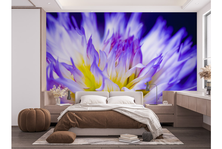 Фотообои «Цветы астры в фиолетовых тонах» в интерьере