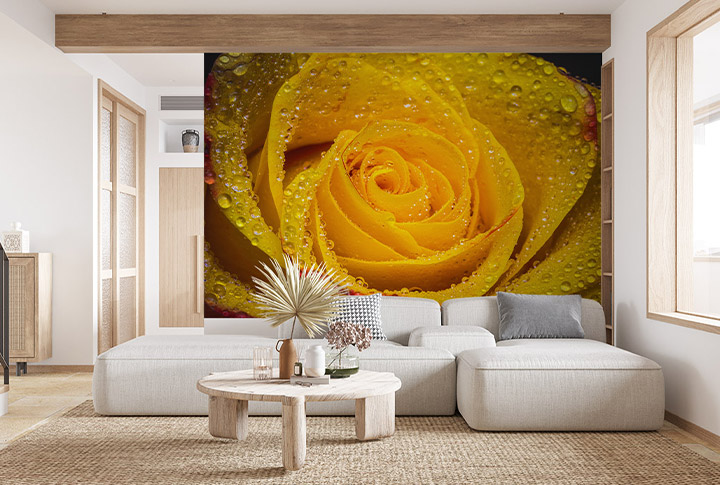 Фотообои Розы Жёлтые