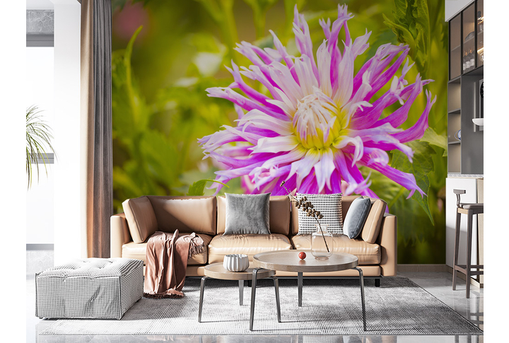 Фотообои «Пестрый георгин, большой цветок в зелени» в интерьере