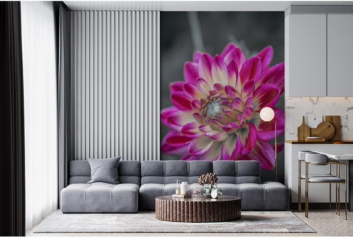 Фотообои «Распустивший лепестки цветок георгины» в интерьере