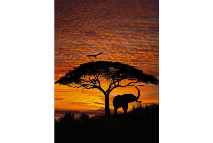 Фотообои «African Sunset» (Африканский Закат)