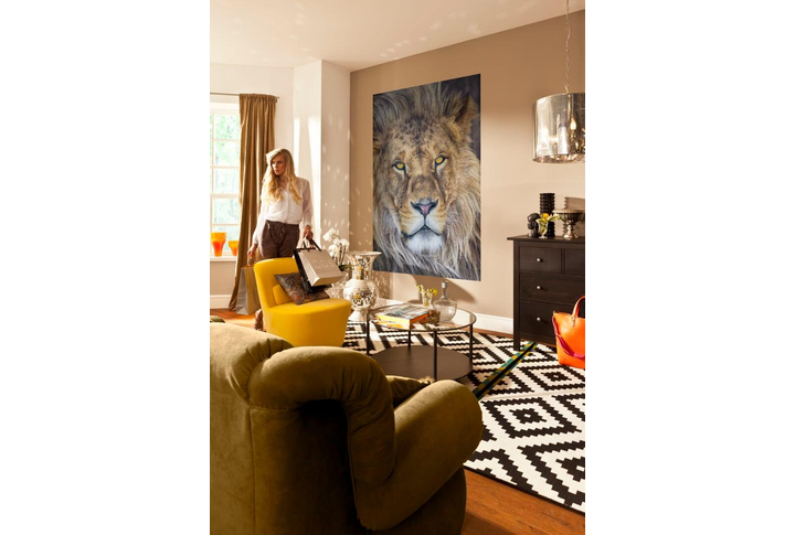 Фотообои «Lion» (Лев) в интерьере