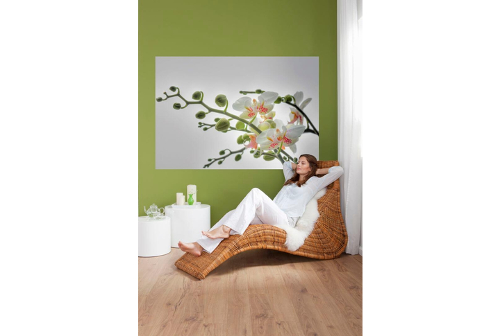 Фотообои «Orchidee» (Орхидея) в интерьере