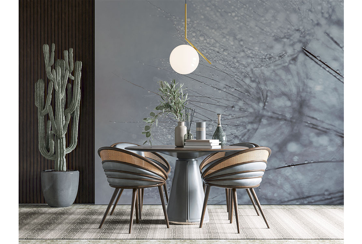 Фотообои «Черно-белый одуванчик в каплях росы» в интерьере