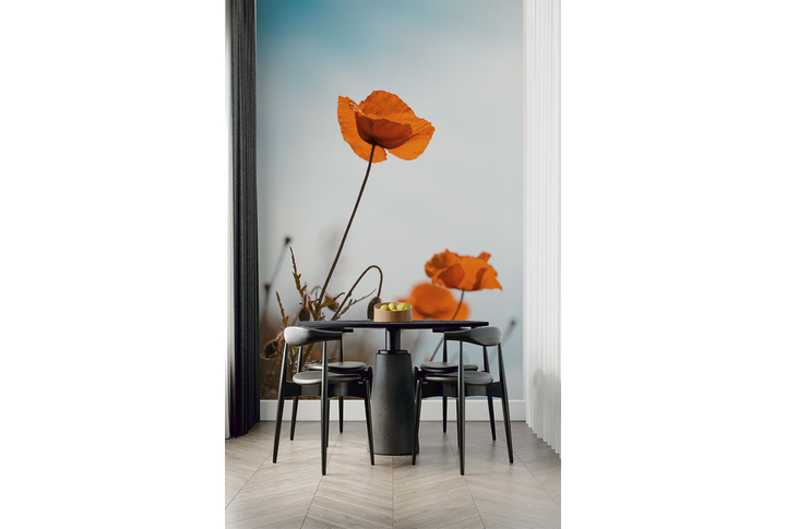 Фотообои «Красные маки» в интерьере