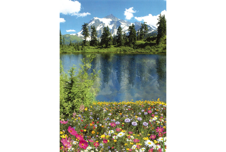 Фотообои «Алтайское лето»