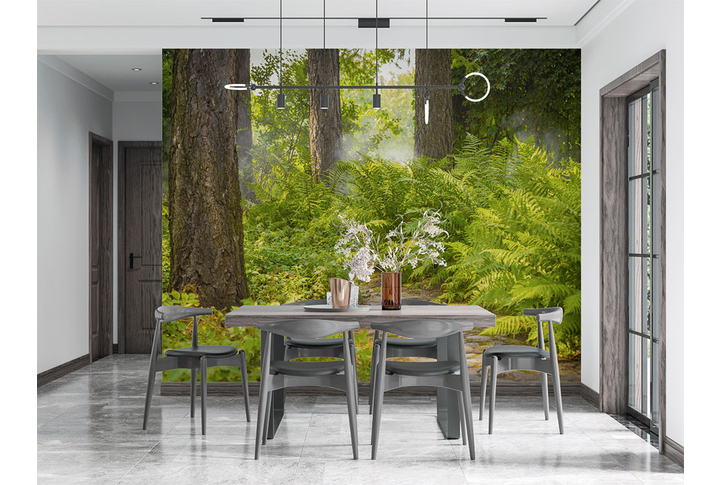 Фотообои «Тропинка в лесу через папоротник» в интерьере
