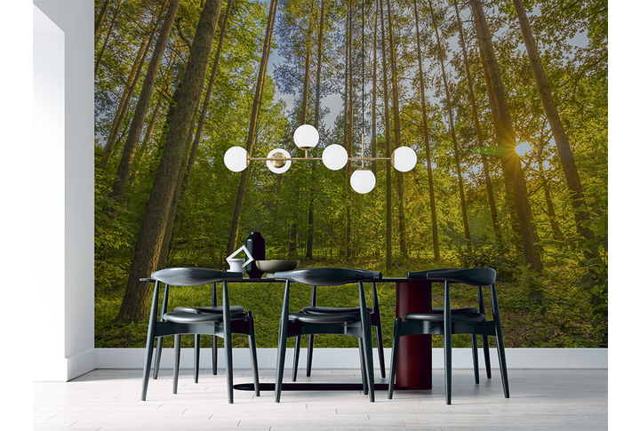 Фотообои «Солнечный сосновый лес» в интерьере