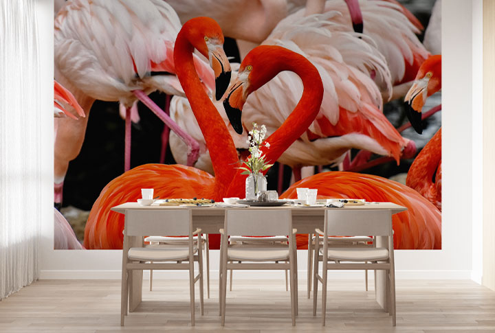 Фотообои Фламинго