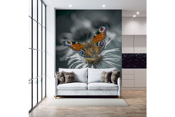Фотообои «Роскошная бабочка на черно-белом цветке» в интерьере