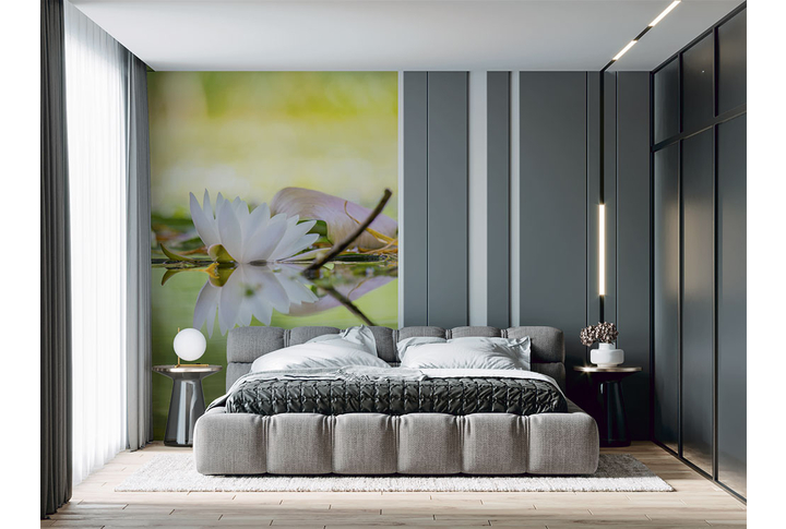 Фотообои «Белоснежный лотос на пруду» в интерьере