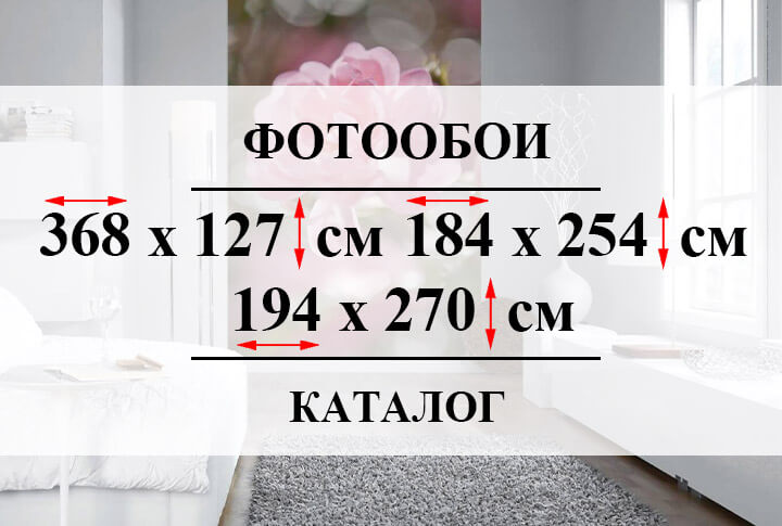 Фотообои 368 x 127 см, 184 x 254 см, 194 x 270 см