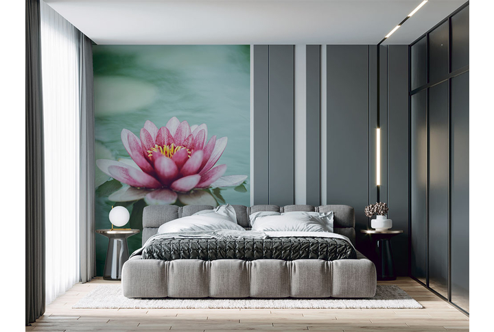 Фотообои «Кувшинка на водной глади» в интерьере