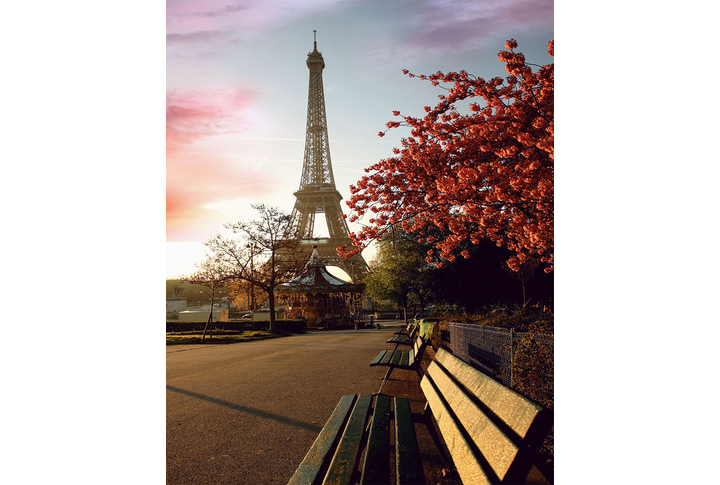 Фотообои «Парк Парижа с видом на Эйфелеву башню»